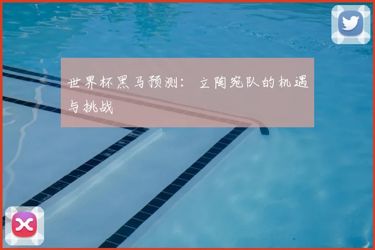 世界杯黑马预测:立陶宛队的机遇与挑战